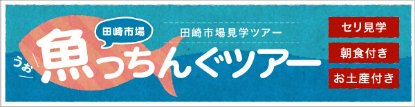 セリが生で見られる！魚っちんぐツアー